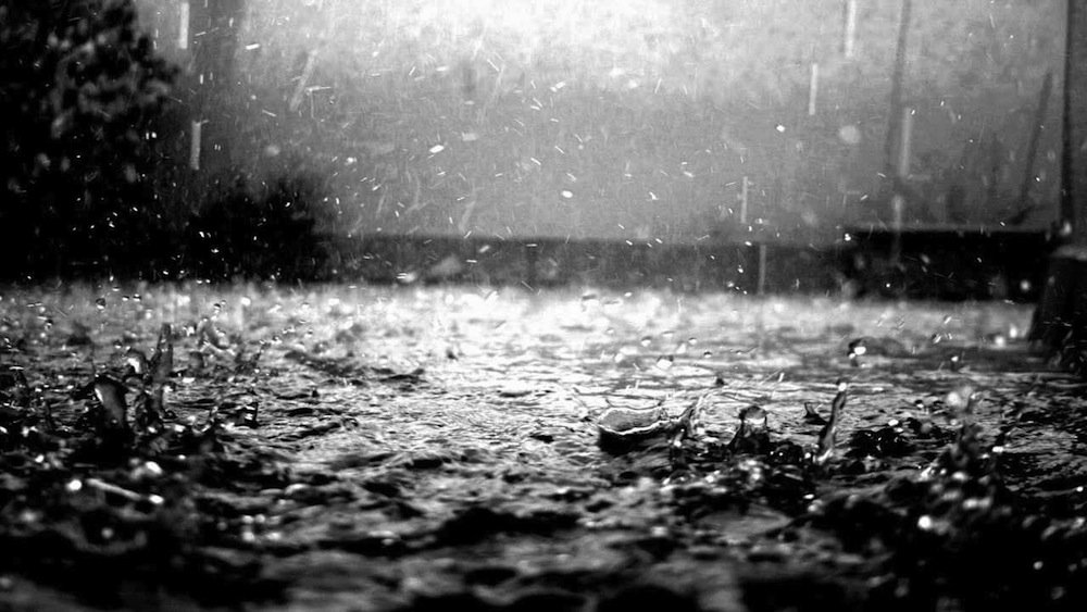 Humo en la lluvia - Zenda