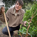 Joaquín Araújo, el hombre que planta árboles