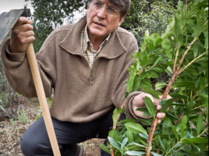 Joaquín Araújo, el hombre que planta árboles