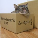 El gato de Schrödinger