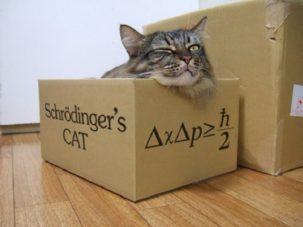 El gato de Schrödinger