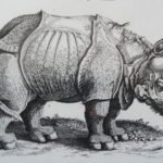 ¿Quién fue Pessoa? Miguel Barrero publica El rinoceronte y el poeta