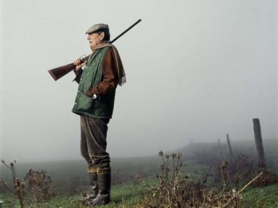 La semana en Zenda, en 10 tuits