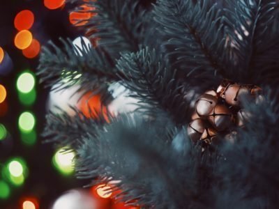 La semana en Zenda, en 10 tuits