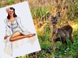 De Bambi a la pornografía