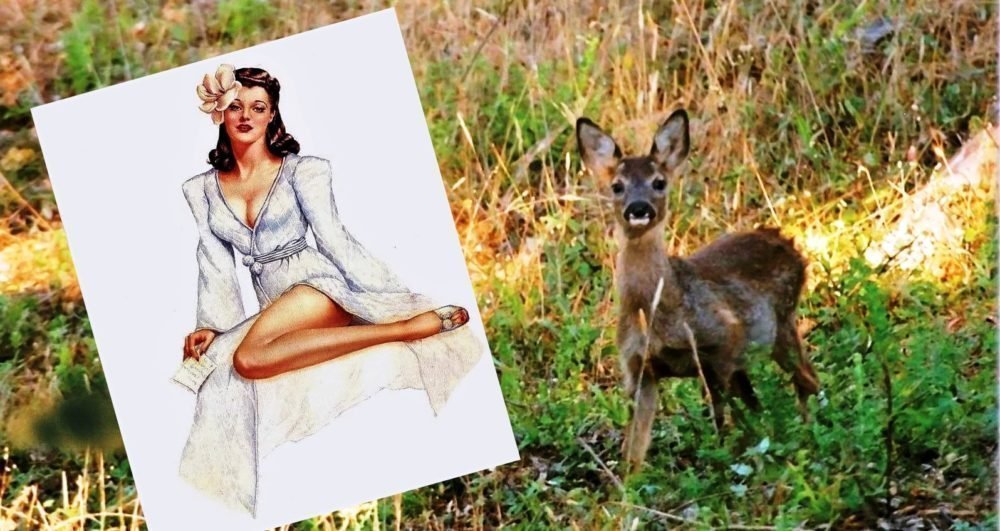 De Bambi a la pornografía
