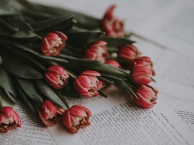 La semana en Zenda, en 10 tuits