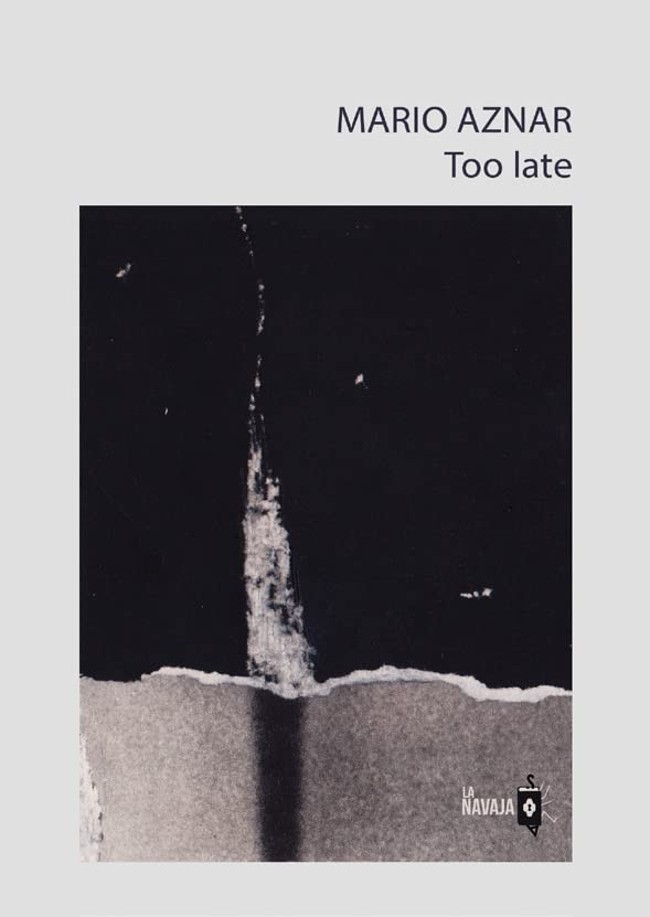El sueño de Enrique Vila-Matas: Una reseña de ‘Too late’, de Mario Aznar