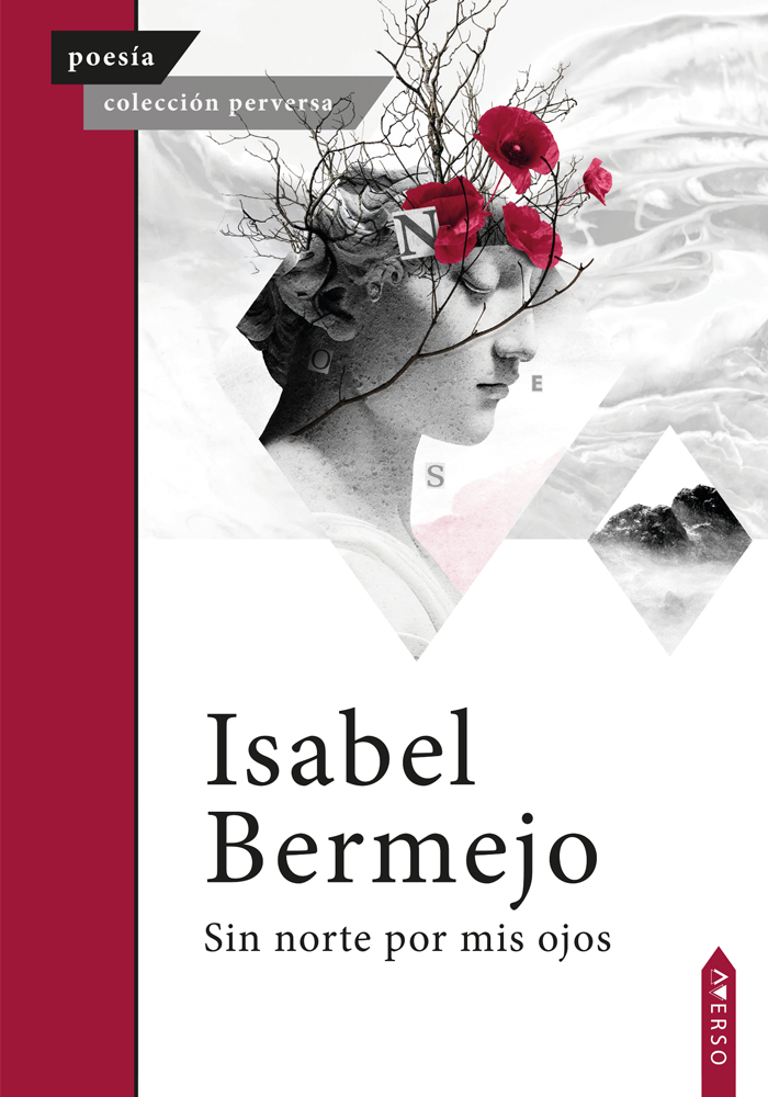 5 poemas de Sin norte por mis ojos, de Isabel Bermejo