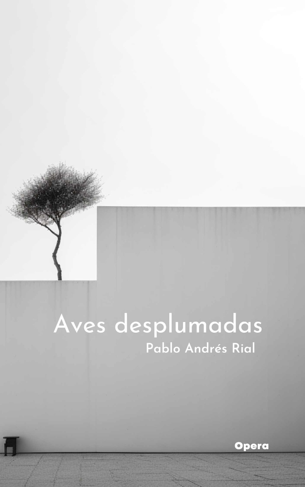 5 poemas de Aves desplumadas, de Pablo Andrés Rial