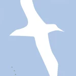 Zenda recomienda: Albatros, de Nuria Ortega Riba