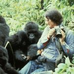 Asesinato de Dian Fossey