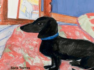 5 poemas de Deseo de perro, de Sara Torres