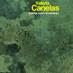 5 poemas de Escribir sobre el cemento, de Valeria Canelas