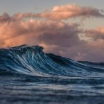 El naufragio del Wind Rose