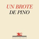 5 poemas de Un brote de pino, de Carolina Esses