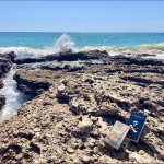 ¿Todavía se lee en la playa?