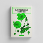 Álbum de plantas prohibidas, de María del Carmen Tostado Gutiérrez