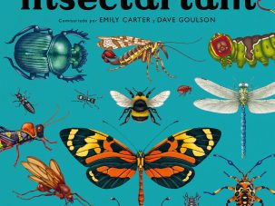 Zenda recomienda: Insectarium, de Emily Carter y Dave Goulson