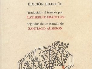 Zenda recomienda: Sonetos & Sonnets, de Garcilaso de la Vega