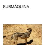 Zenda recomienda: Submáquina, de Esther García Llovet