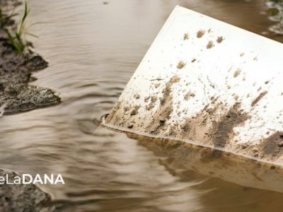 CEDRO lanza «Libros de la DANA», una campaña que busca revitalizar el sector editorial valenciano