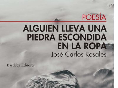 5 poemas de Alguien lleva una piedra escondida en la ropa, de José Carlos Rosales