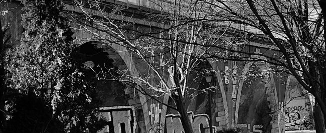 Si hoy me reconocería