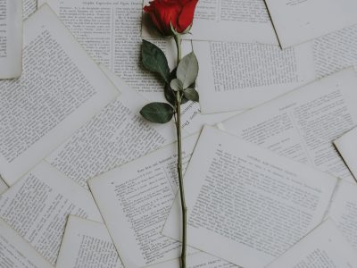 La semana en Zenda, en 10 tuits