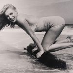 Marilyn, su muerte junto al tigre, por Ignacio Carrión