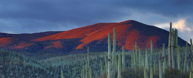 El tesoro zapoteco