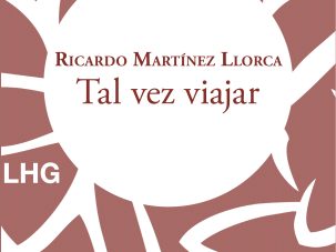 Tal vez viajar, de Ricardo Martínez Llorca