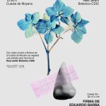 Día del Libro 2025 en la Cuesta de Moyano