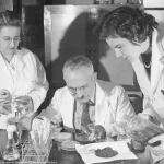 Elizabeth Bugie y la estreptomicina