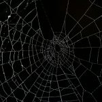 La araña