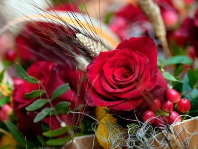 El día de Sant Jordi en Madrid