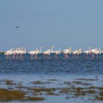 Ni dos metros sobre tierra