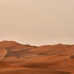 En el desierto