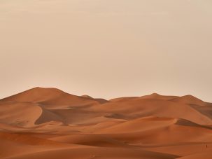 En el desierto