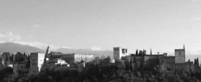 Sin desmayo los suspiros