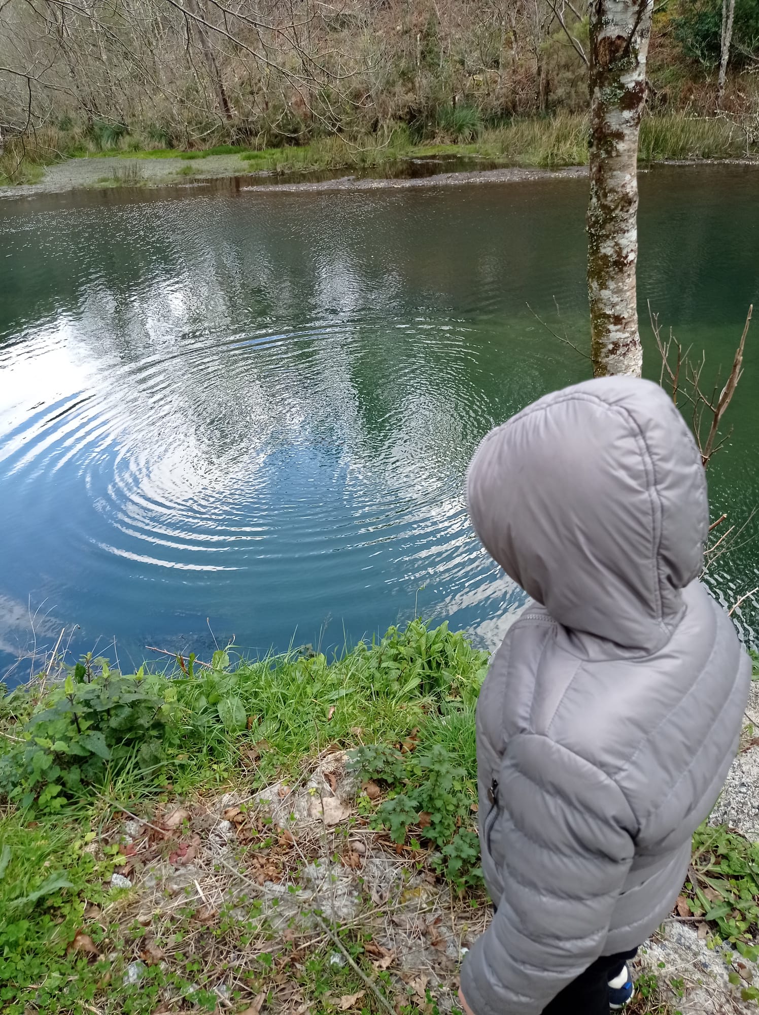 Cartas a Mateo (XXI): Una mudanza