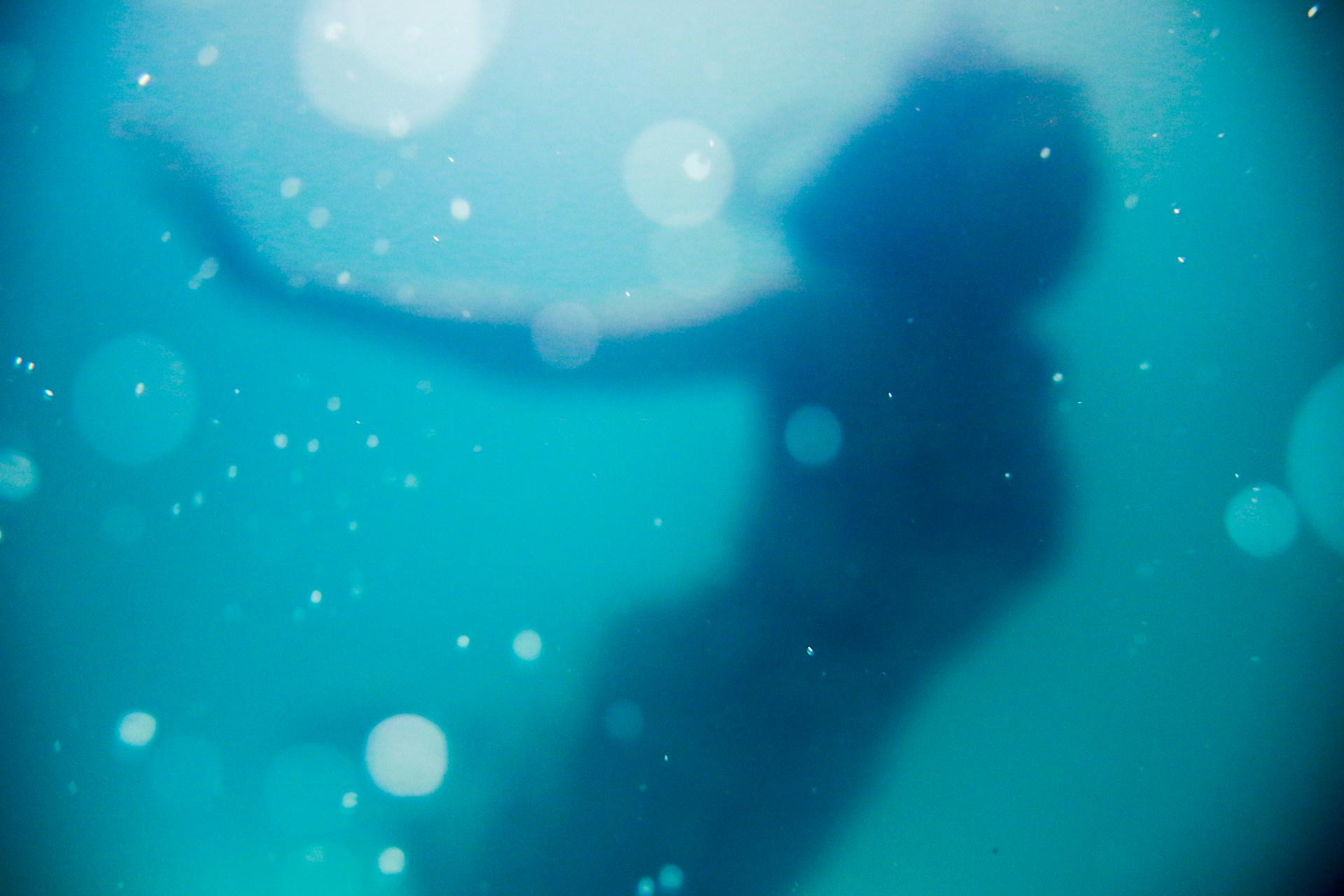 Sirenas y tritones