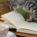 Doce libros de mayo