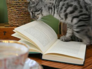 Doce libros de mayo