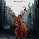 Una mirada que no juzga