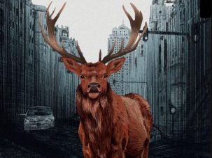 Una mirada que no juzga