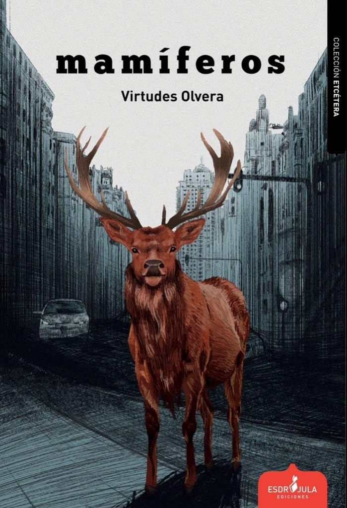 Una mirada que no juzga