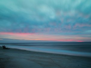 La semana en Zenda, en 10 tuits