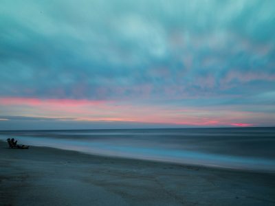 La semana en Zenda, en 10 tuits