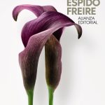 Jane Austen: Sereno encantamiento